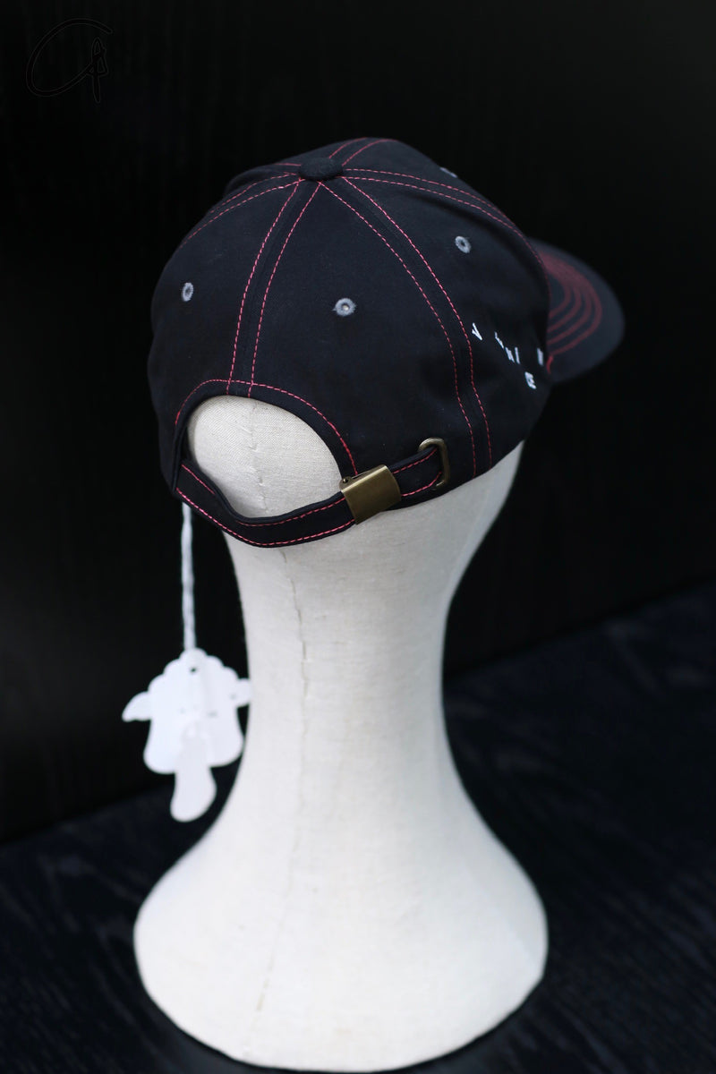 VeniceW duck cap 黒 ピンク
